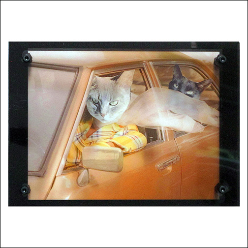 Cocaine Cats - Getaway Car